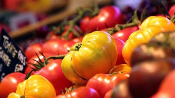 tomates1