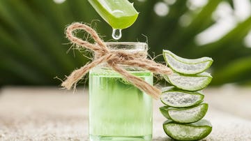 Aloe vera
