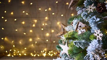 Renueva tu árbol de Navidad