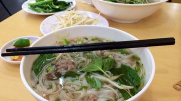 sopa
