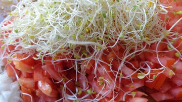 Los mágicos brotes de alfalfa, coronando tomate picado.