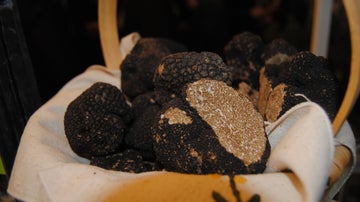 trufa-negra-soria