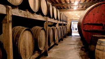 Los viñedos de Pazo de Fefiñáns.