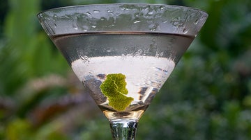 Dry Martini