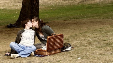 picnic