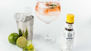 ¿Un gin tonic con Angostura? Buena idea.