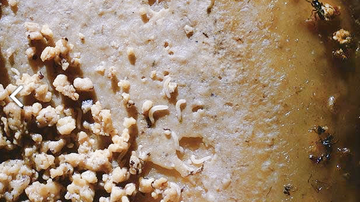 casu marzu