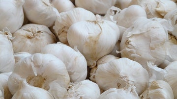 Cabezas de ajo