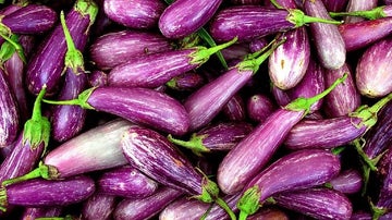 berenjena