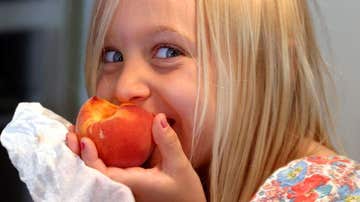 De los cuatro posibles modelos de alimentación para niños, solo uno funciona.